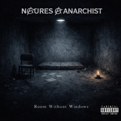 Room Without Windows (REMIX)