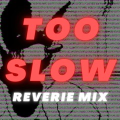 FNF Vs Sonic EXE - Too Slow Reverie Mix