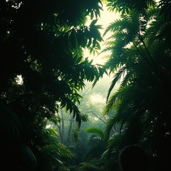 Calmaria Brasileira - Projeto Naves