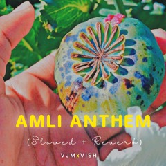 Amli Anthem Slowed Reverb VJMxVISH.mp3