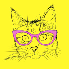 Glasses - DEMO VERSION