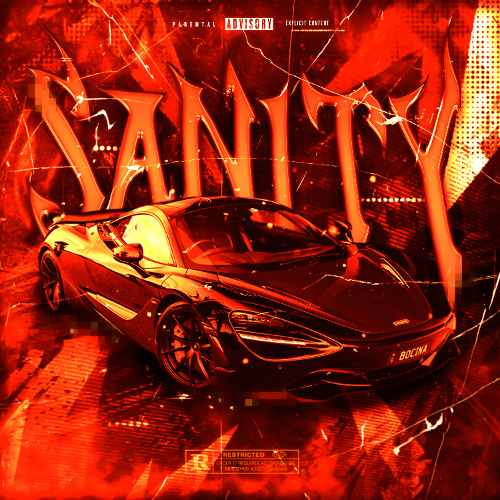 SANITY ft. MOON$LAY3R! (BIRTHDAY SPECIAL)