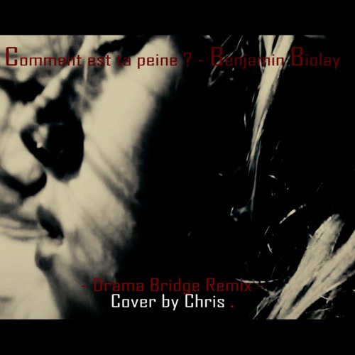 Comment est ta peine ? (Benjamin Biolay) Drama Bridge Remix [Cover by Chris .]