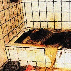 The Absence Of Tissue