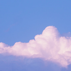 아무도 듣지 않을 음악