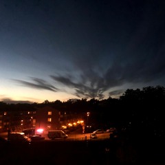 Squirenetic - Covid - 19