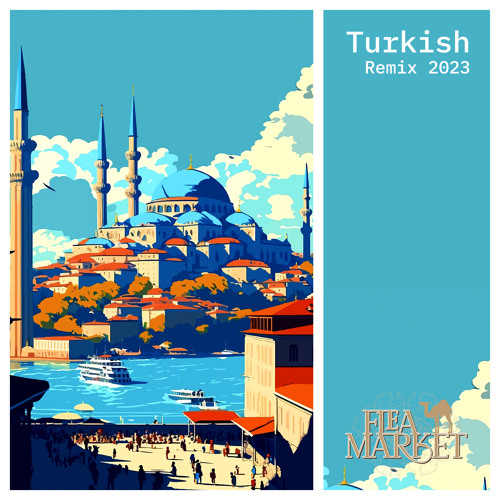 FM Turkish Remix 01 2023