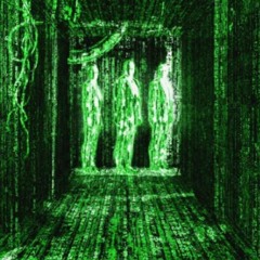 #008 Glitch in the Matrix