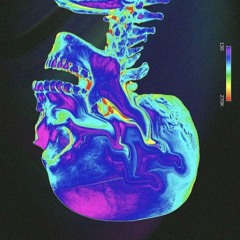 ACID TEST