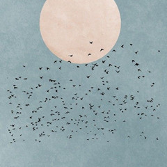 Andy Meyer - Sensor
