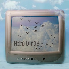 Afro Birds