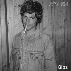 Gibs [18.07]24]