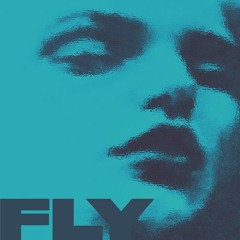 Fly