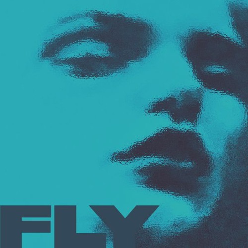 Fly