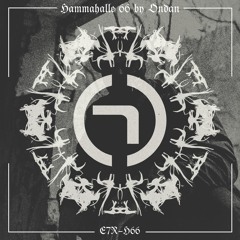 HAMMAHALLE 66 by Ondan