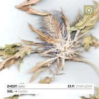 SOL avec Cardus Soundcloud podcast image for SOL avec Cardus