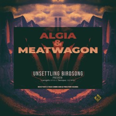 Algia & Meatwagon - Unsettling Birdsong (prev)