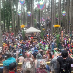 Ganja Girl @ Electric Forest 2025 🍯🐝