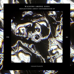 Walking Among Gods - Why Are You Here? (Delrady Remix)