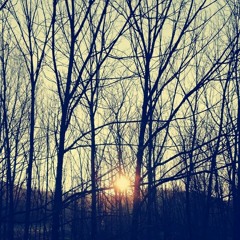 Tra Le Luci Instabili - DuoDegradabili