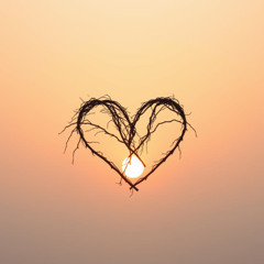 Sweet Harmony