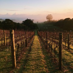 Waiheke Sessions 001