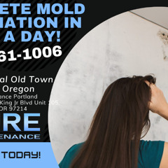 Mold Removal Old Town Portland Oregon - Pure Maintenance Portland - 503-461-1006