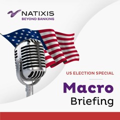 US Election Special - Election Update & Market uncertainty, by Troy Ludtka - EP.3