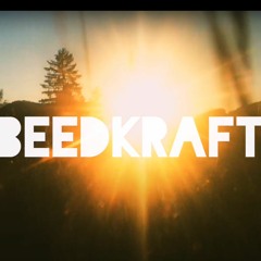 BeedKraft - Sunset with OSE