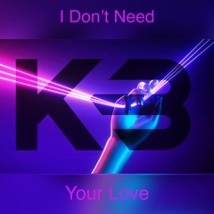 I Don´t Need Your Love (Original Mix)