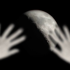 reaching for the moon