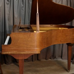Schiller Petite Baby Grand