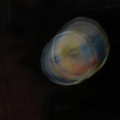 En Lo Profundo De Un Color