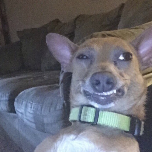 87776