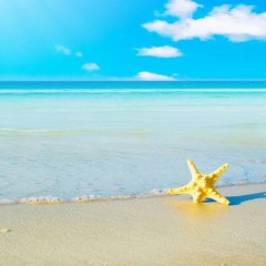 Peaceful Summer Instrumental Vibes 2
