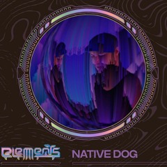 Native Dog & Loud Zoo - Elements Festival 2022 live set 2:30am
