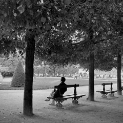 Summer Leaves (Les Feuilles Vivantes)