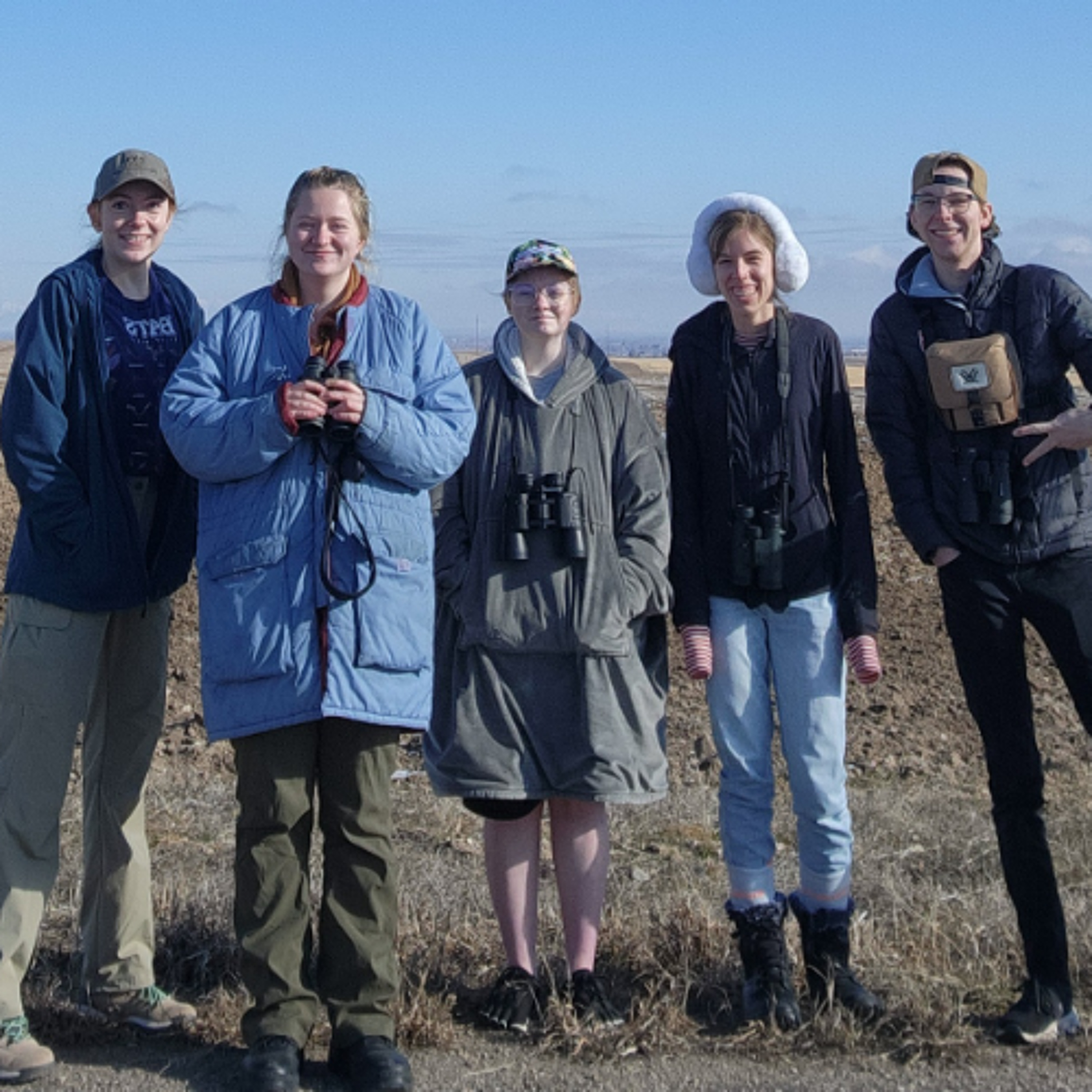 BYUI Wildlife Society conducting swan research episode artwork