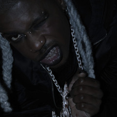 ice in my veins - destroy lonely