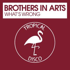 Brothers In Arts - What's Wrong (Original Mix) Master