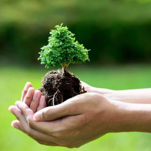 خيرُ أيامِ الفتى | 2022