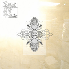 2hollis - tricky (prod. kimj)