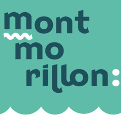 Balade urbaine à Montmorillon / concertation du 7 juin 2024