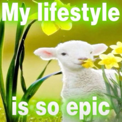 perfect cherry blossom