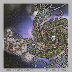 Into the Fernhole (Psybur & Cosmic Sidekick)