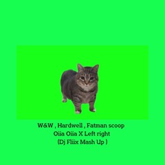 W&W, Hardwell - Oiia Oiia Left right (DJ Fliix EDIT)