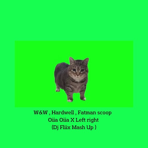 W&W, Hardwell - Oiia Oiia Left right (DJ Fliix EDIT)