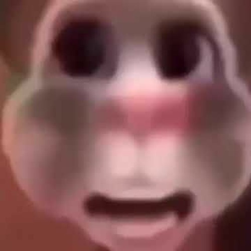 bruh what the hell bruh