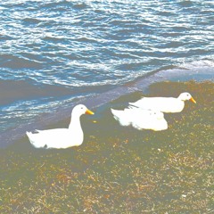 Carmenta & Otonomi - We're (maybe) Gonna Be Okay