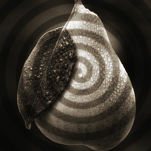 Shape Of A Pear (Sketch 1)